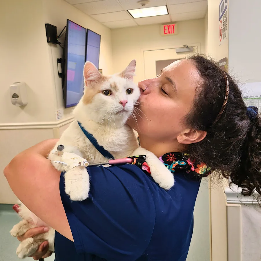 Bay State Veterinary Emergency & Specialty Services