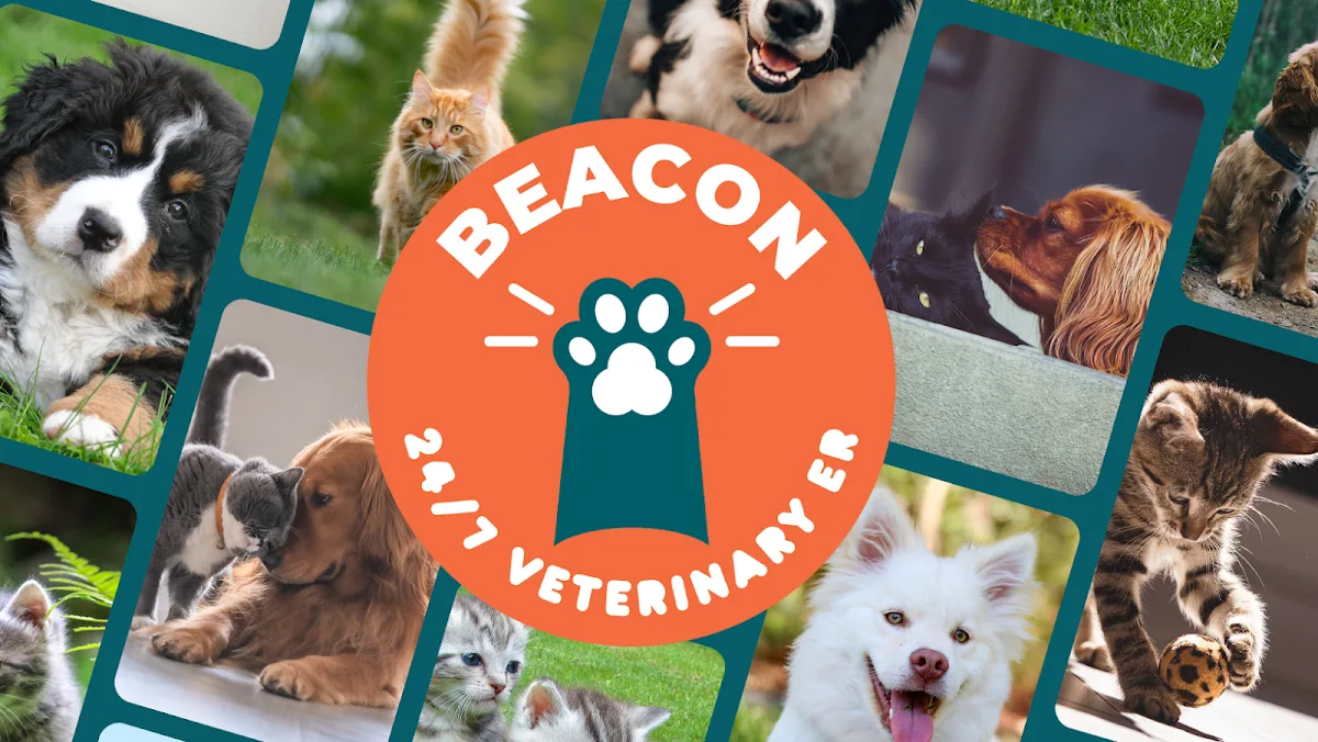 Beacon Emergency Veterinary Hospital