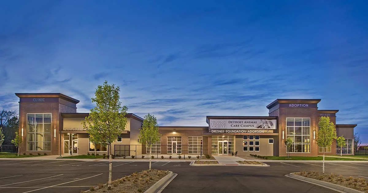 Benigna Andrew A (DVM)