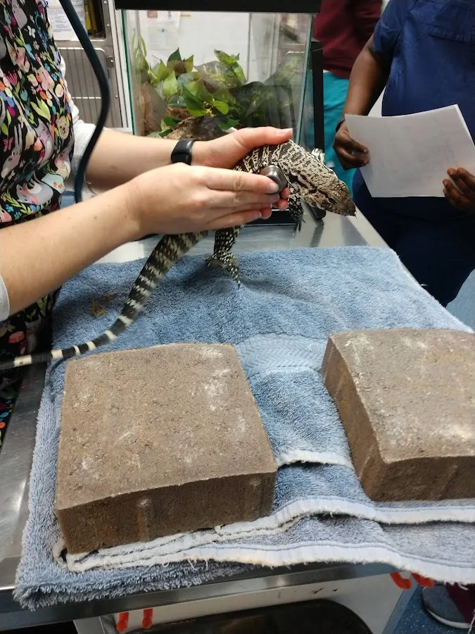 Berkeley Dog & Cat Hospital primary photo