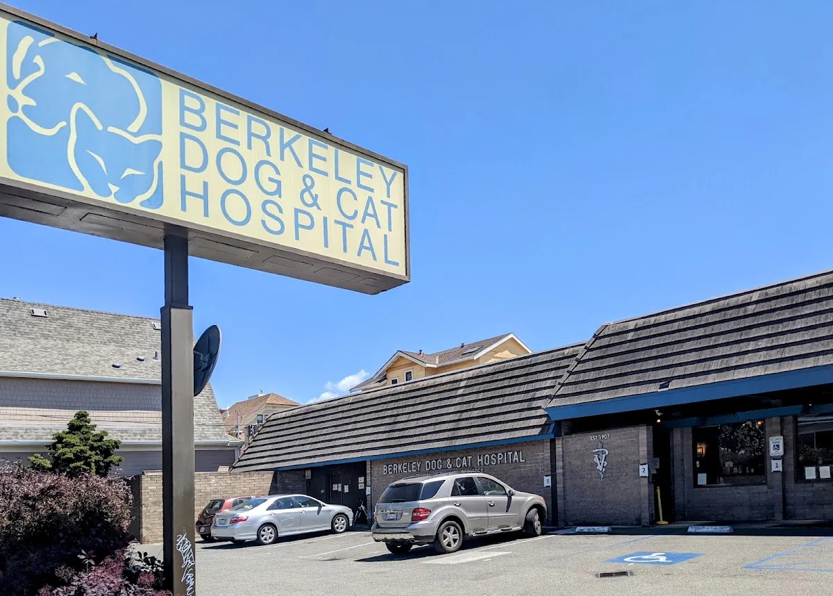 Berkeley Dog & Cat Hospital