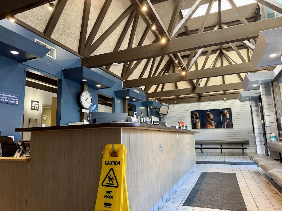 Berkeley Dog & Cat Hospital