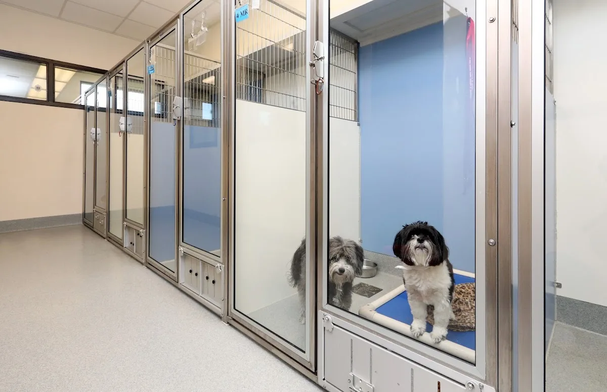 Best Friends Animal Hospital and Urgent Care Center