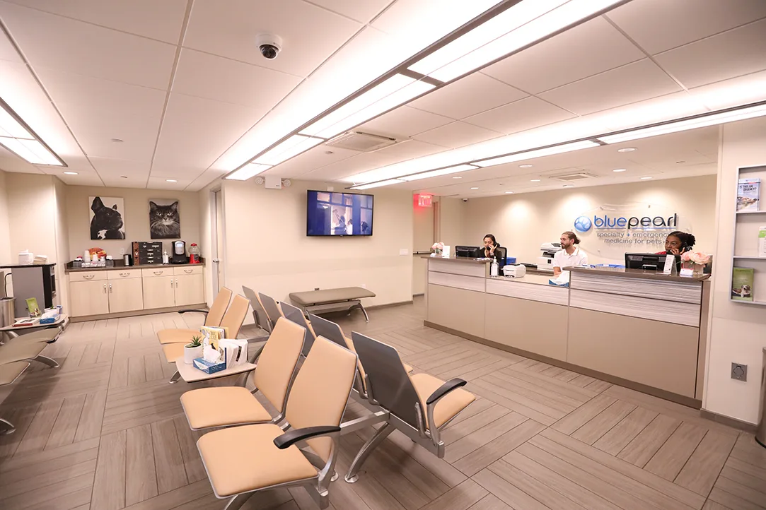 BluePearl Pet Hospital