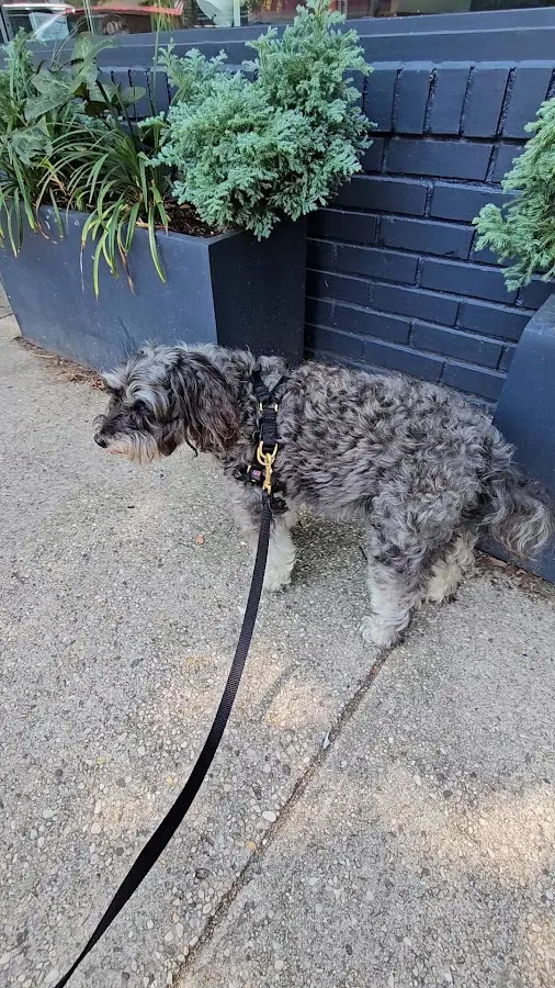 BluePearl Pet Hospital