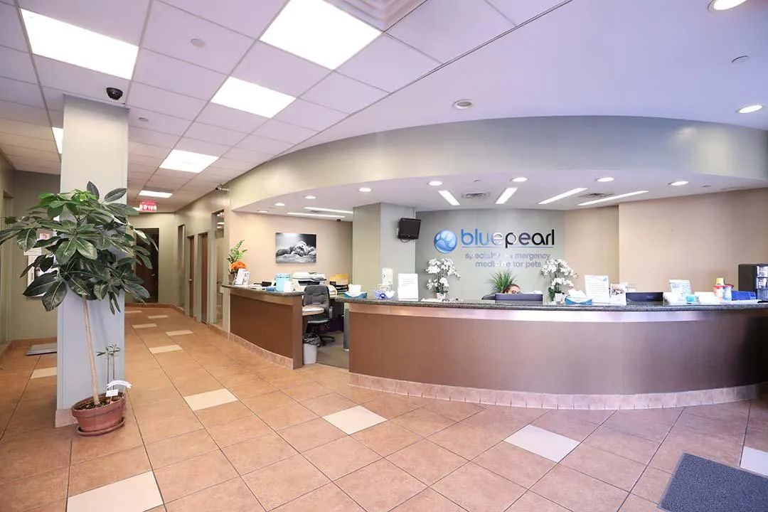 BluePearl Pet Hospital primary photo