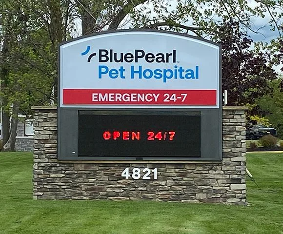BluePearl Pet Hospital primary photo
