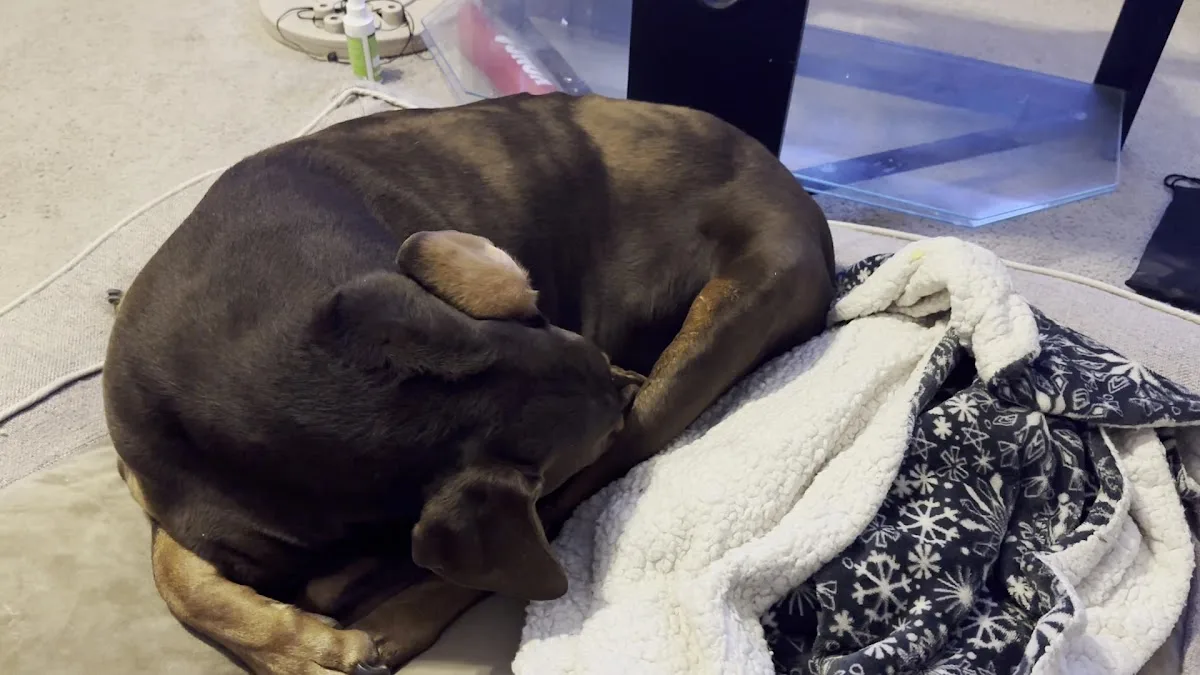 BluePearl Pet Hospital