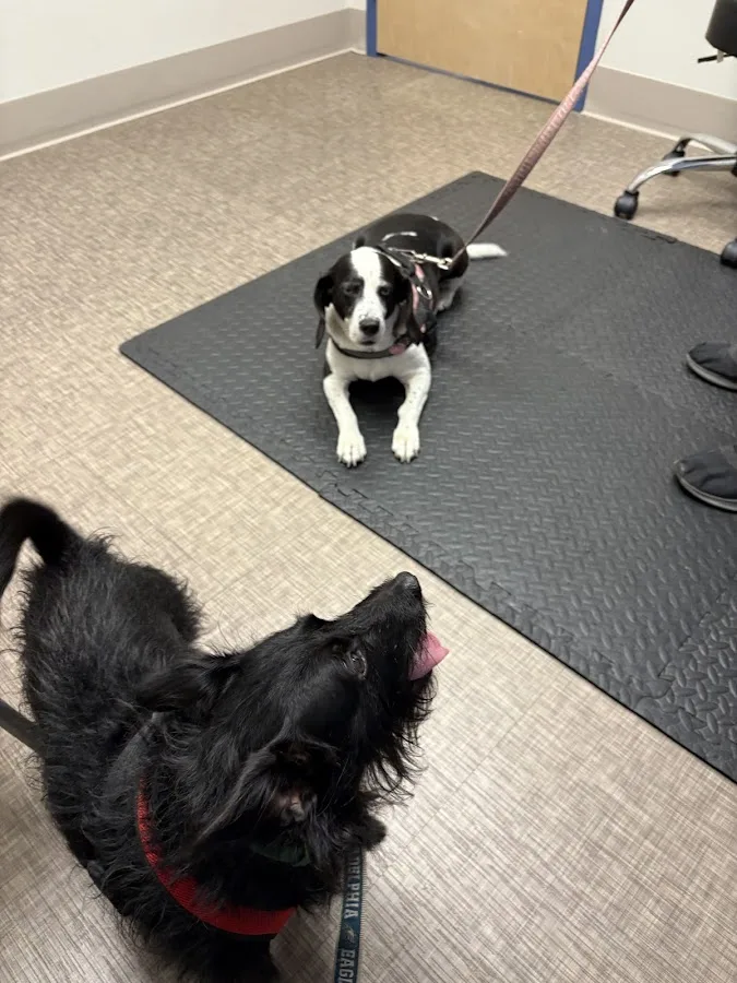 BluePearl Pet Hospital