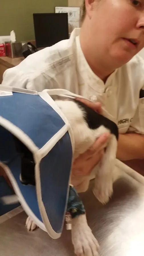 BluePearl Pet Hospital