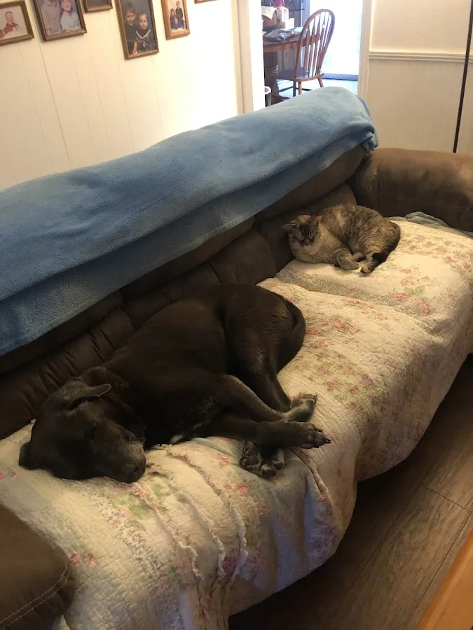 BluePearl Pet Hospital