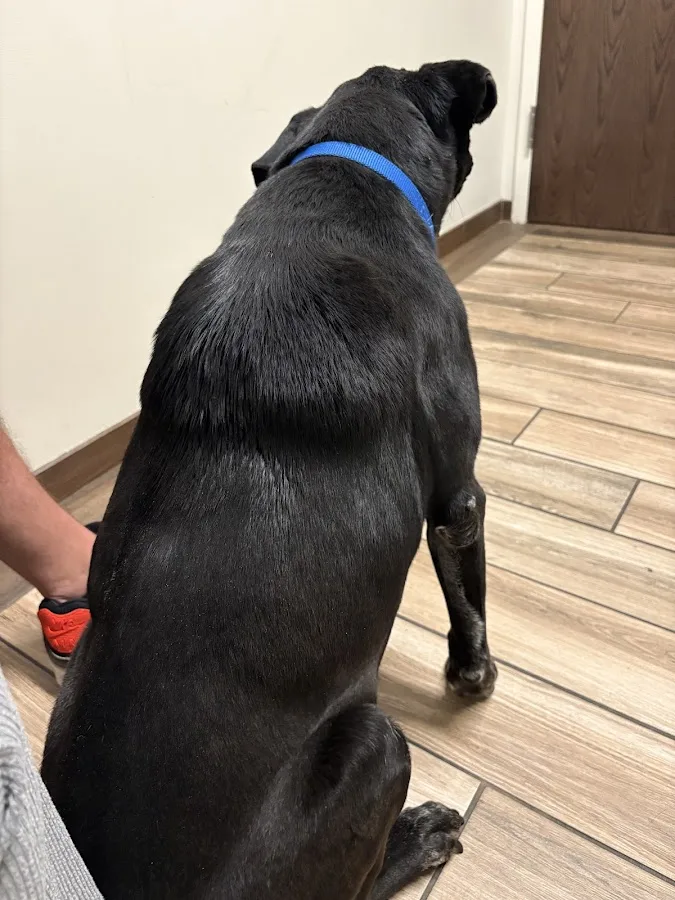 BluePearl Pet Hospital