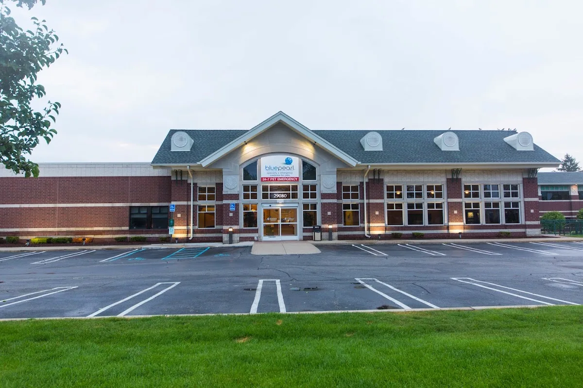 BluePearl Pet Hospital