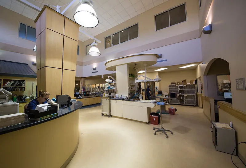 BluePearl Pet Hospital