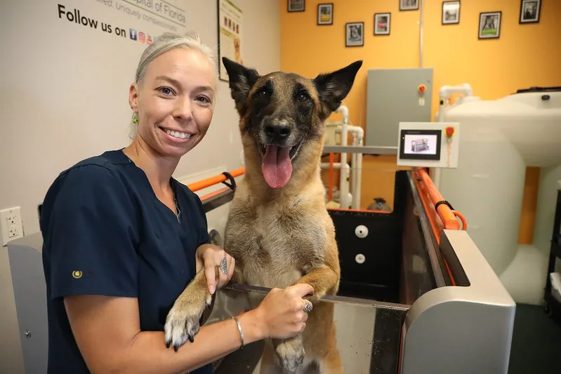 BluePearl Pet Hospital