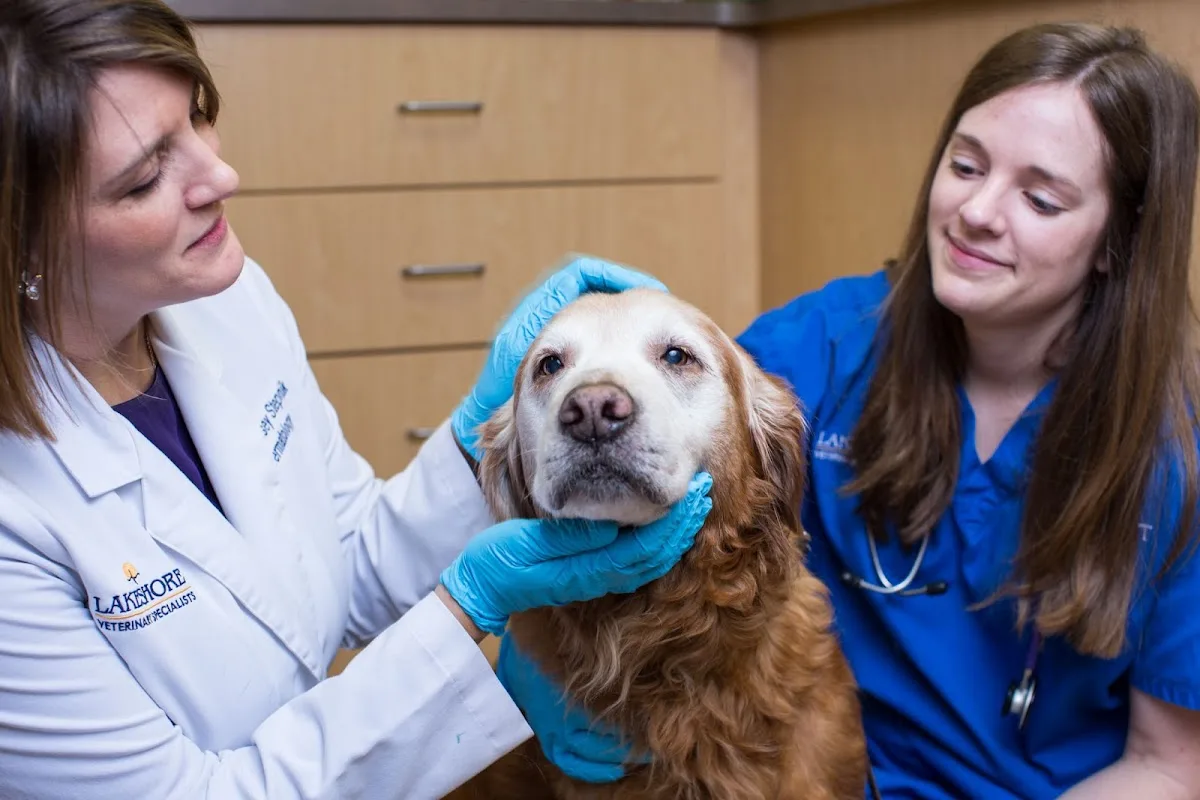 BluePearl Pet Hospital