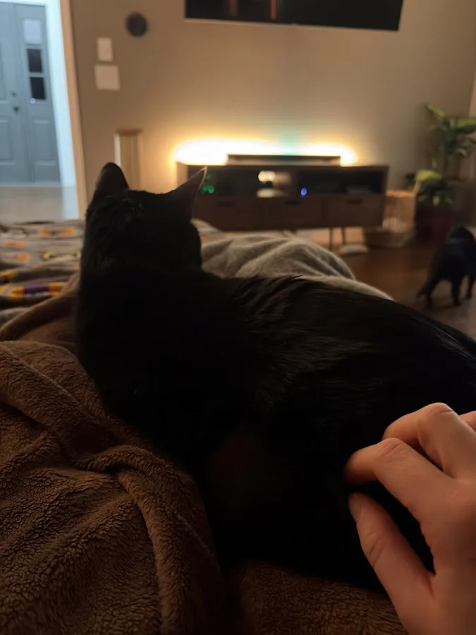 BluePearl Pet Hospital