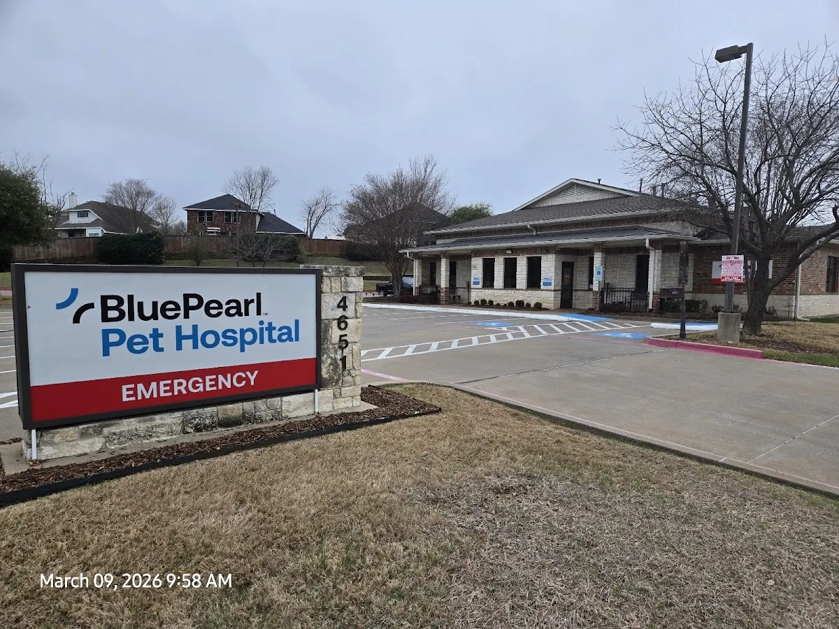 BluePearl Pet Hospital primary photo