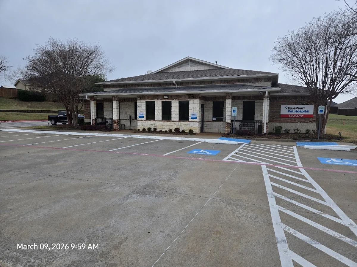 BluePearl Pet Hospital