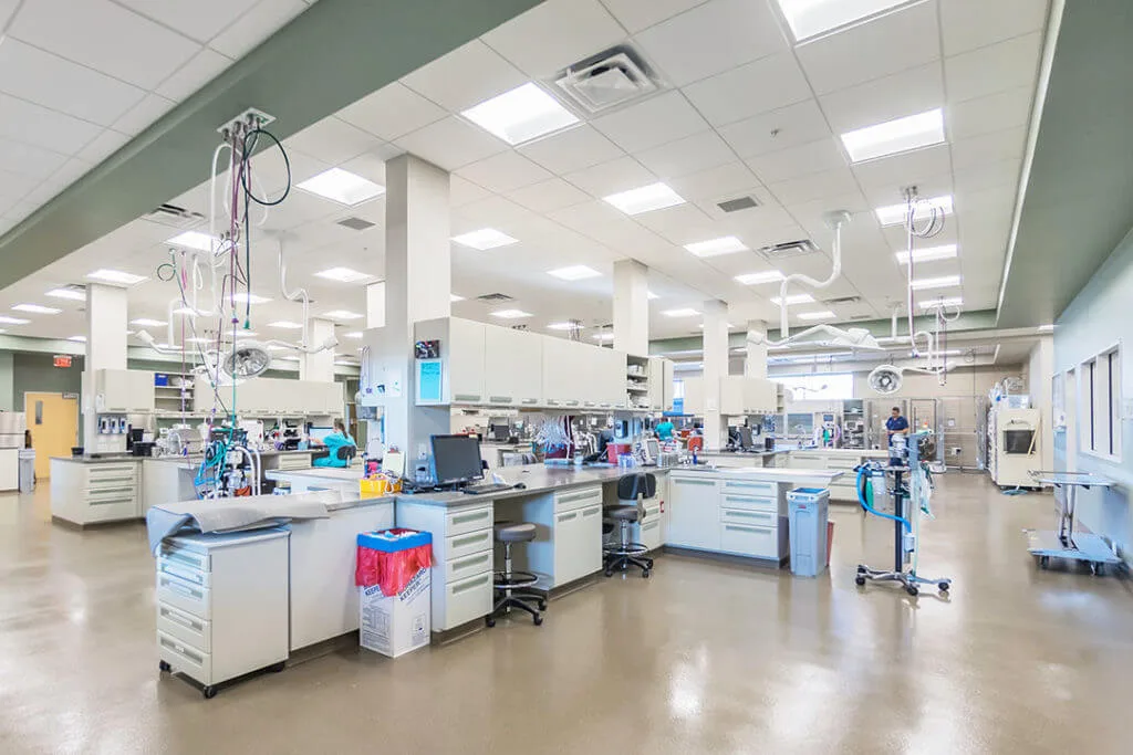 BluePearl Pet Hospital