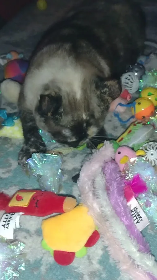 BluePearl Pet Hospital