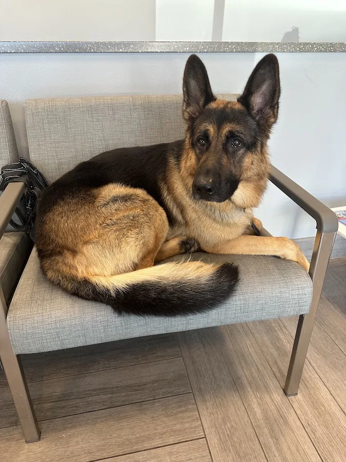 BluePearl Pet Hospital primary photo