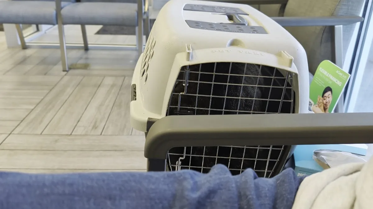 BluePearl Pet Hospital