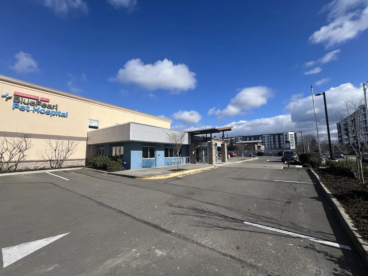 BluePearl Pet Hospital primary photo