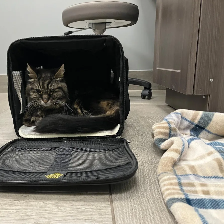 BluePearl Pet Hospital