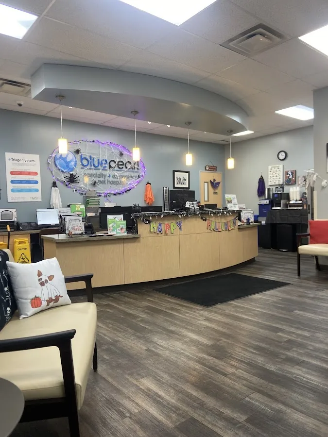 BluePearl Pet Hospital Katy primary photo