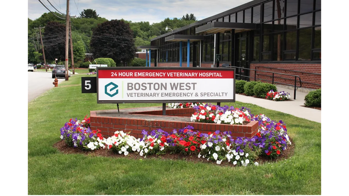 Boston West Veterinary Emergency & Specialty