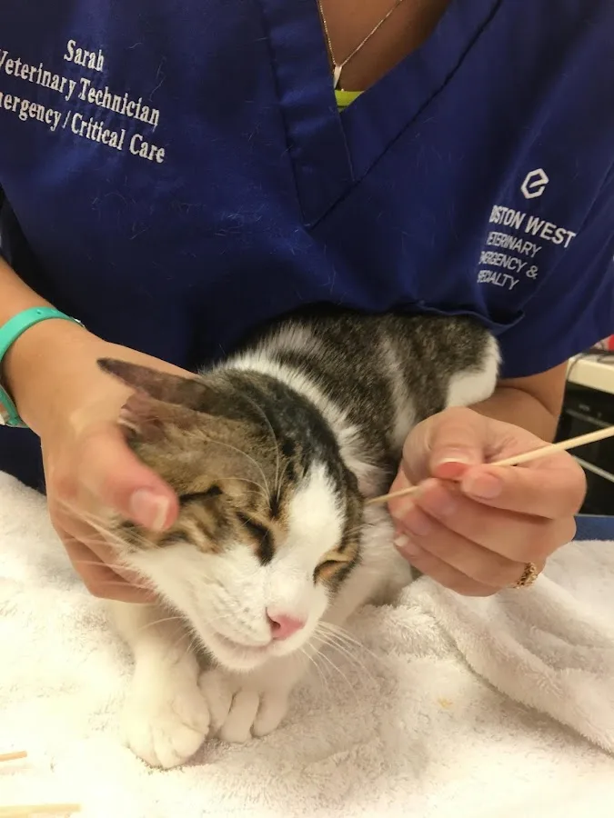 Boston West Veterinary Emergency & Specialty