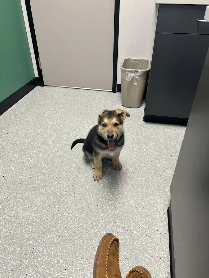 Brown Road Animal Clinic