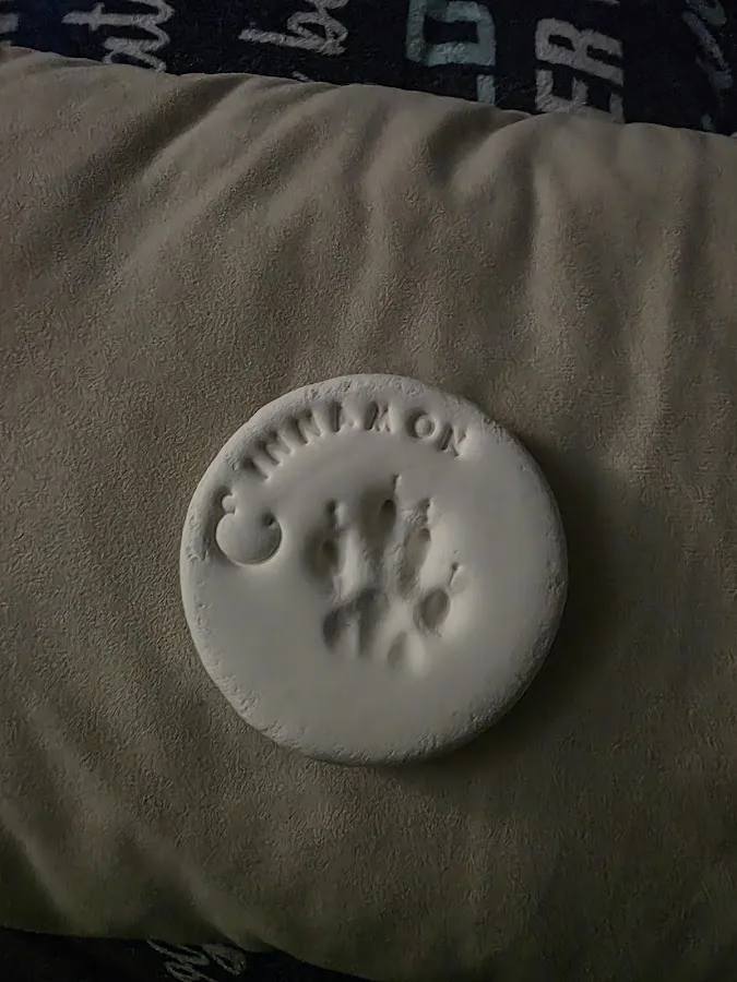 Burlington Emergency & Veterinary Specialists