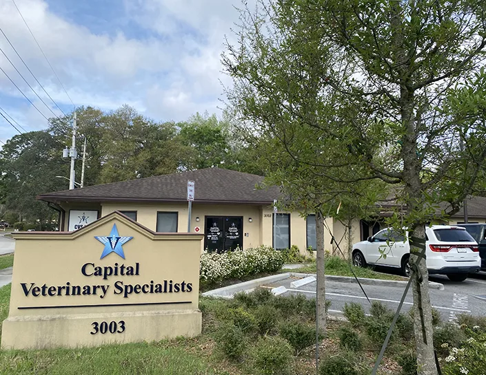 Capital Veterinary Specialists, Jax