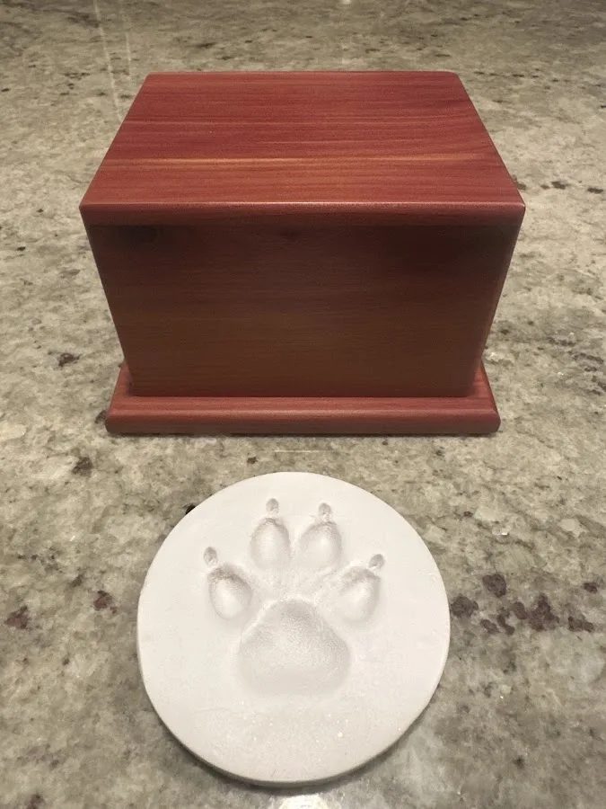 Capital Veterinary Specialists, Jax