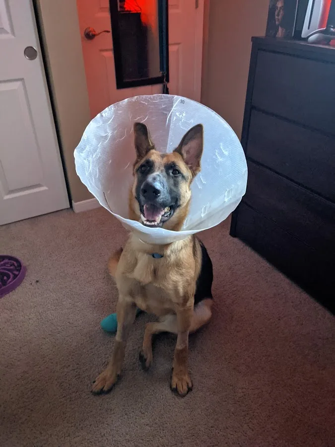 Care Center - Cincinnati (CARE)