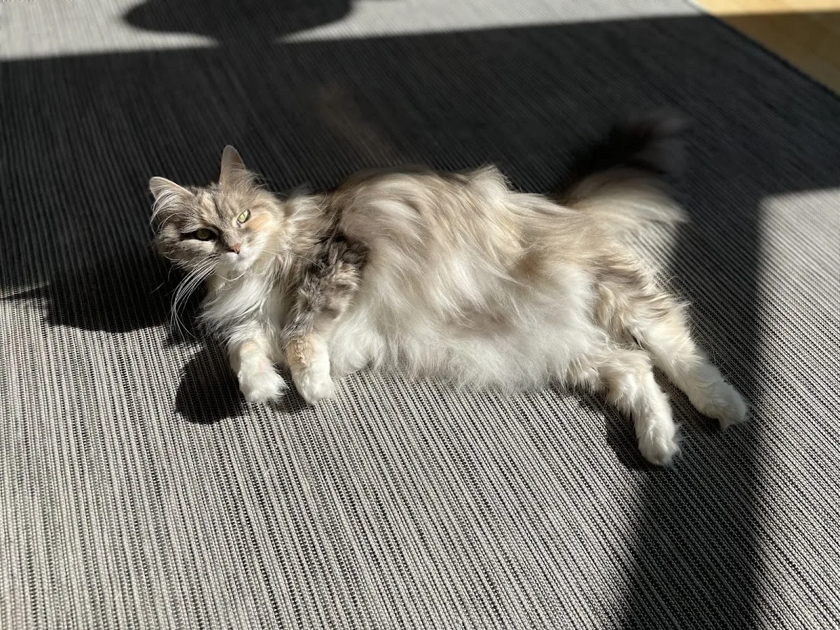 Care Center - Cincinnati (CARE)