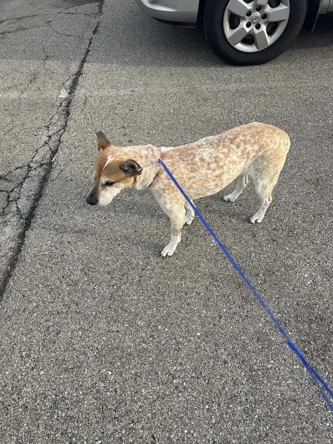 Care Center - Dayton (CARE)