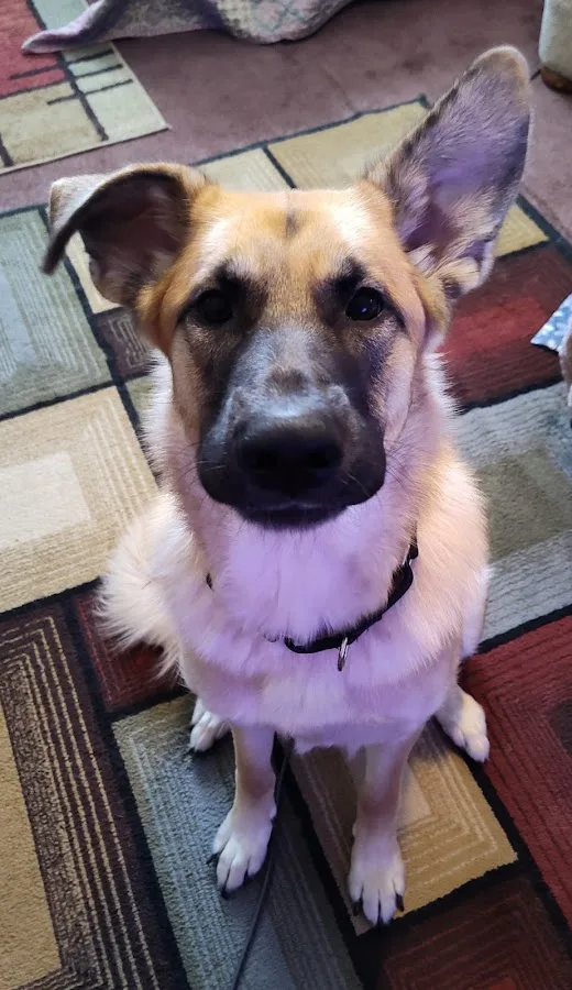 Care Center - Dayton (CARE)