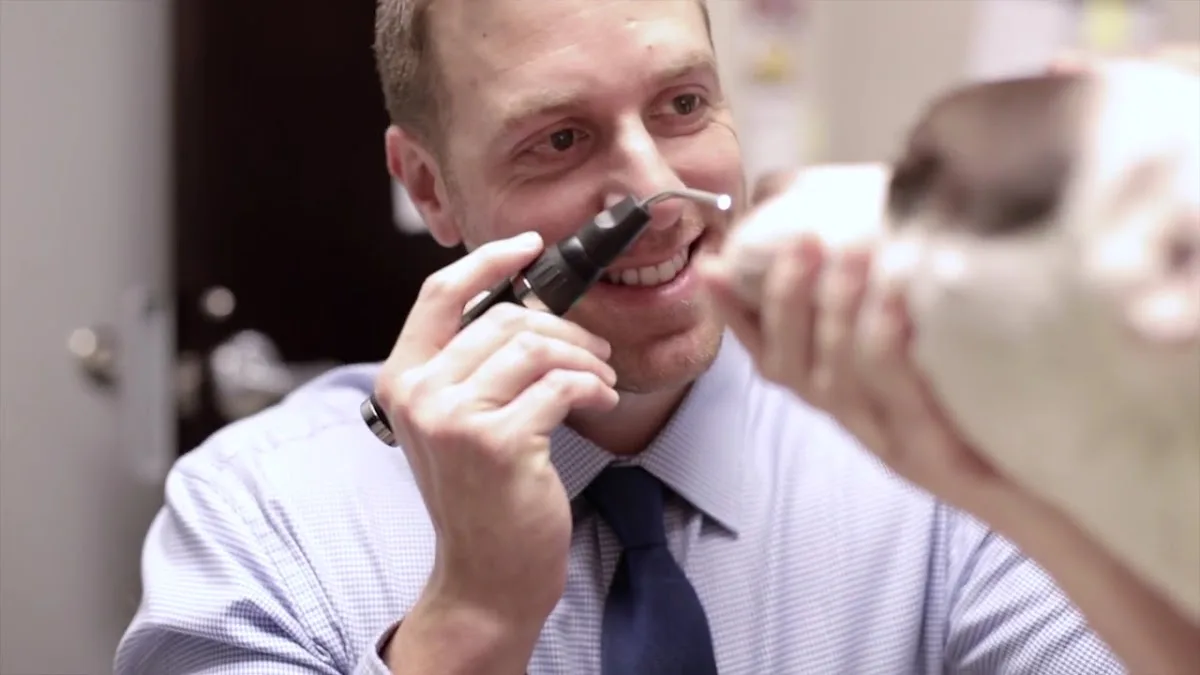 CARE | Charlotte Animal Referral & Emergency