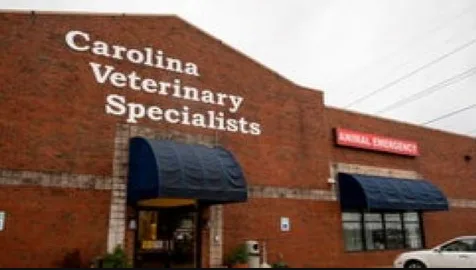 Carolina Veterinary Specialists Greensboro