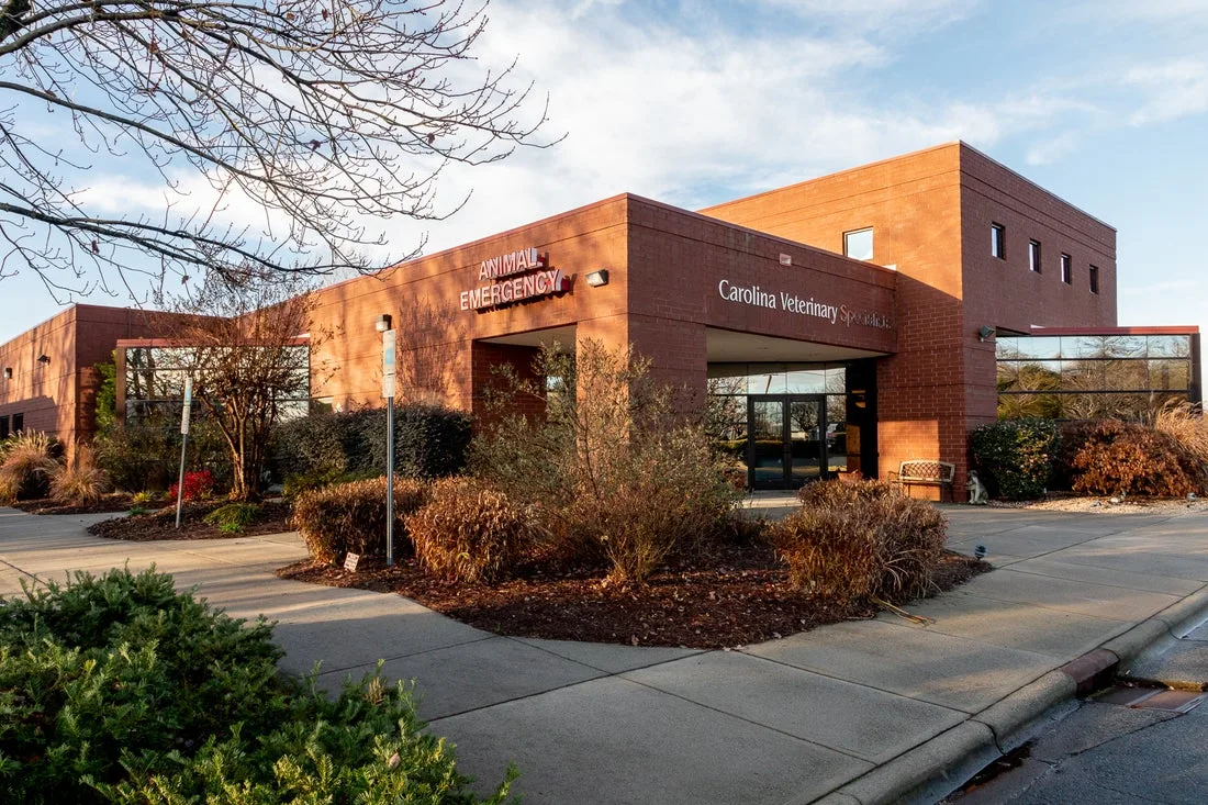 Carolina Veterinary Specialists Huntersville