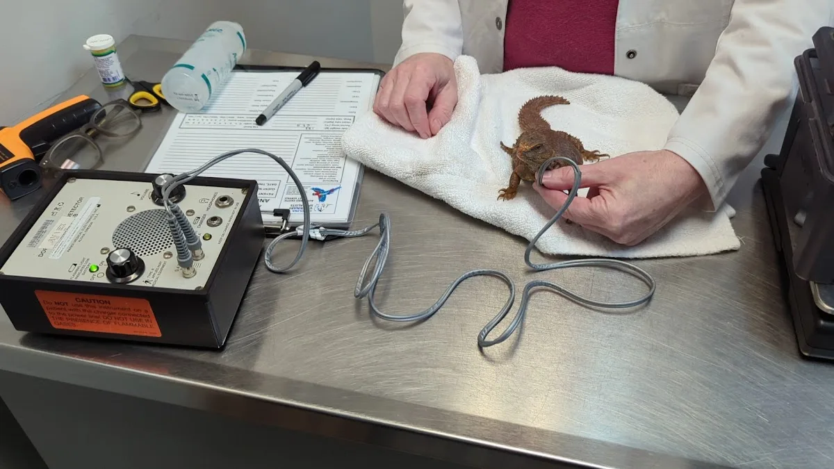 Carolina Veterinary Specialists Huntersville