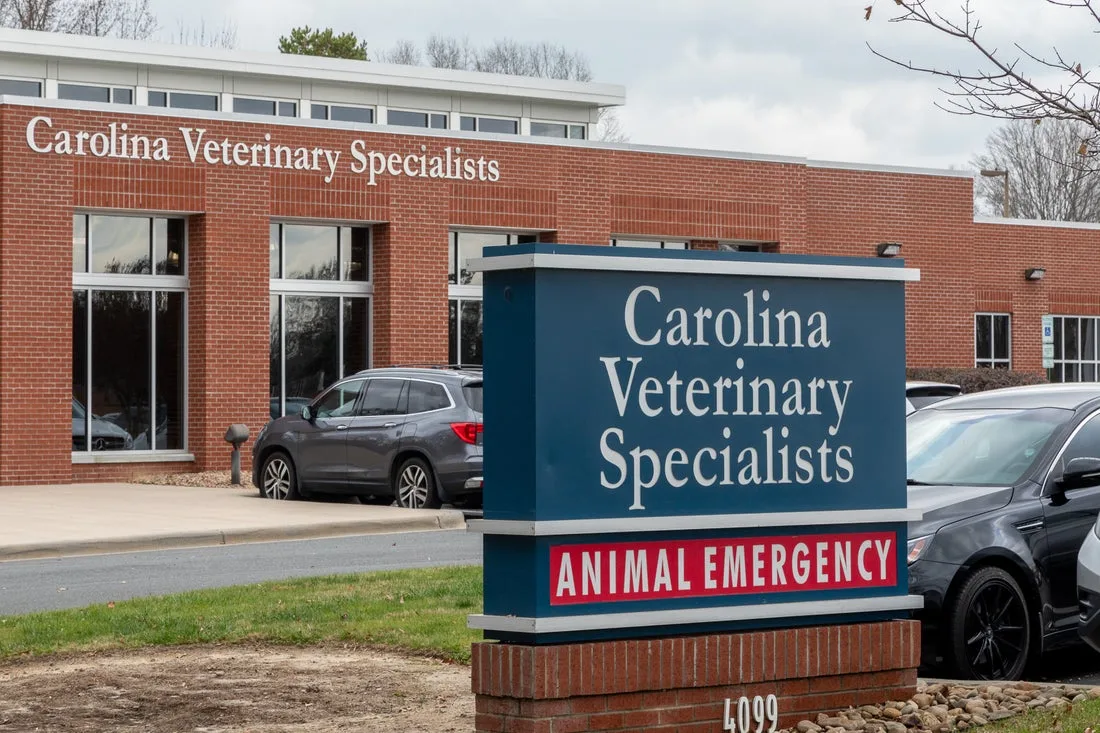 Carolina Veterinary Specialists Matthews