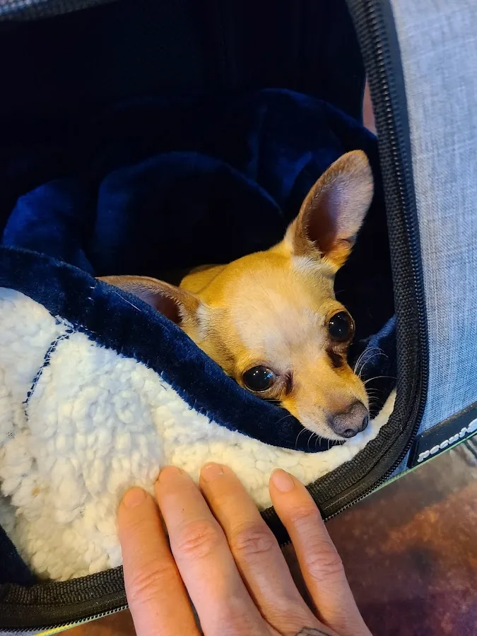 Cascade Veterinary Referral Center