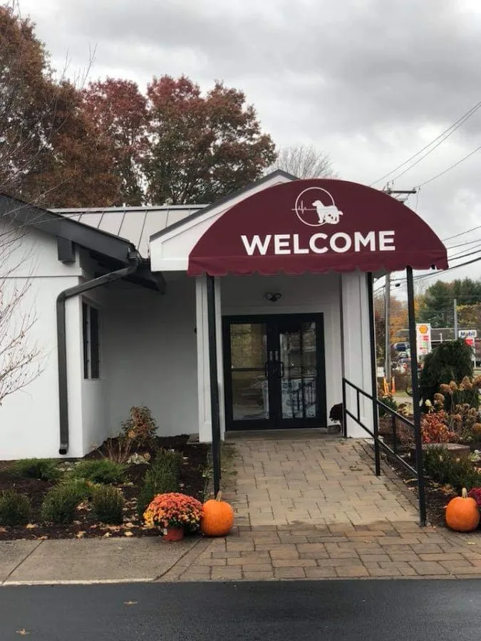 Central Hospital For Veterinary Medicine- Guilford