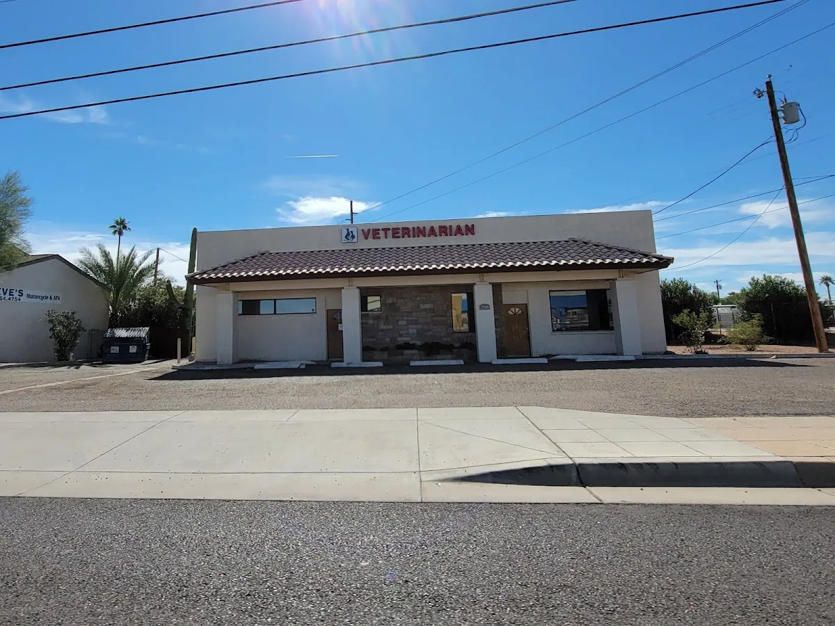 Central Mesa Veterinary Hospital primary photo