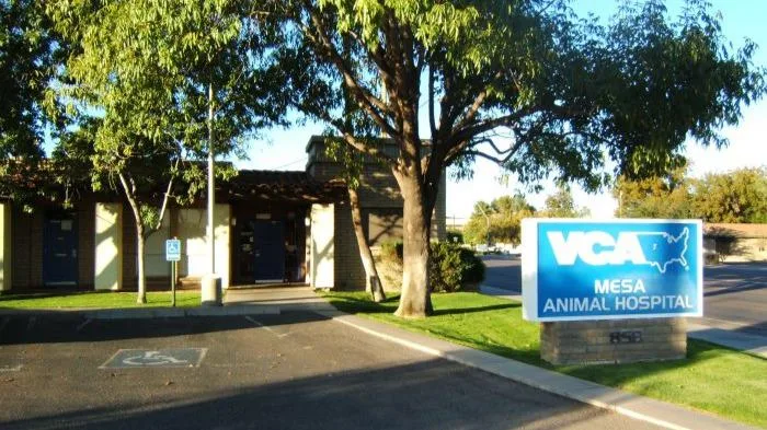 Central Mesa Veterinary Hospital