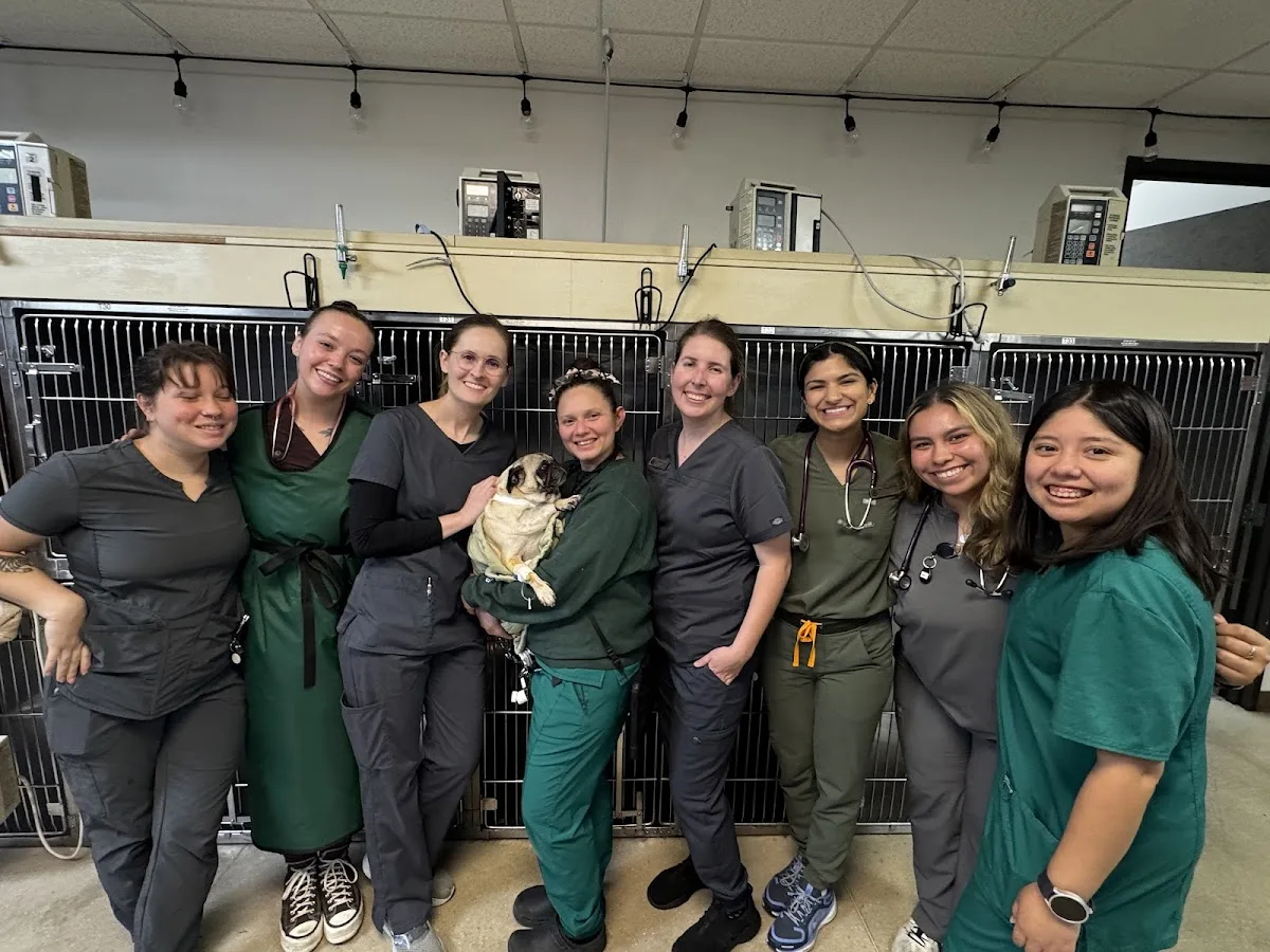 Central Texas Veterinary Speciality and Emergency Hospital primary photo